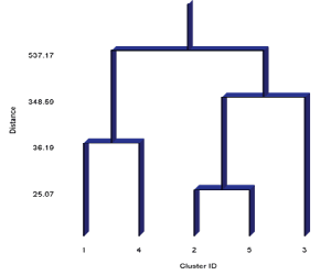 segmentation map